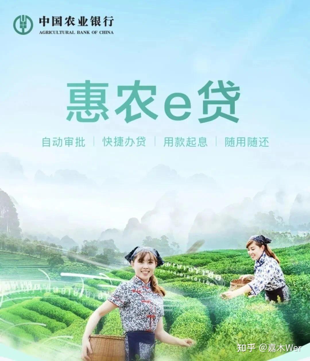 【农业银行惠农e贷】0405代码怎么解决?