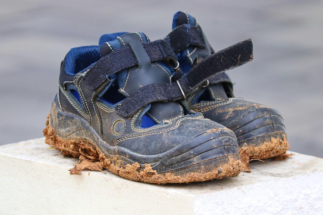 4. 麒麟花浇水指南