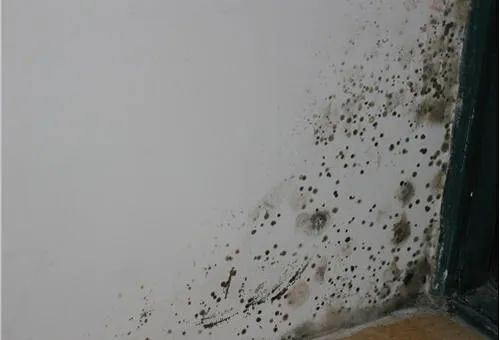 房间里贴墙布,甲醛污染大吗? - 知乎