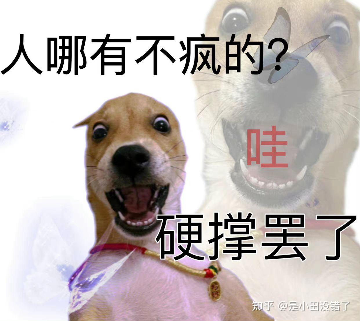 有没有精神状态不正常得发疯表情包? - 知乎