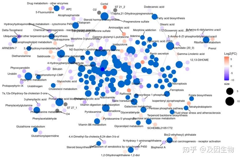 收藏！轻松掌握代谢组学结果解读 - 知乎