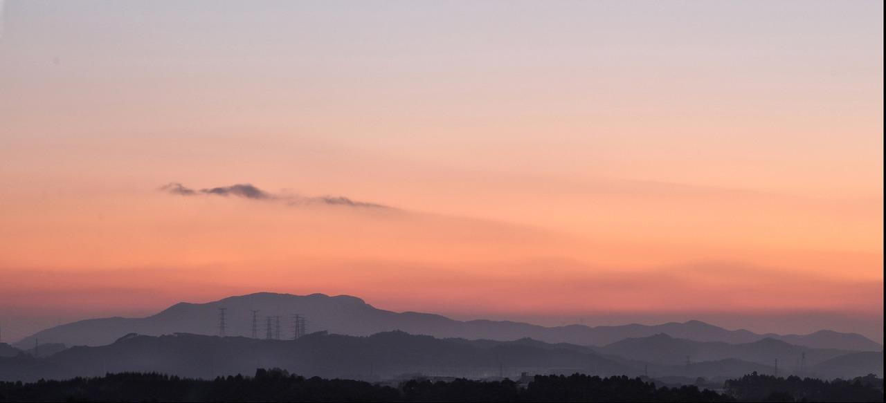 阳台多肉种植技巧