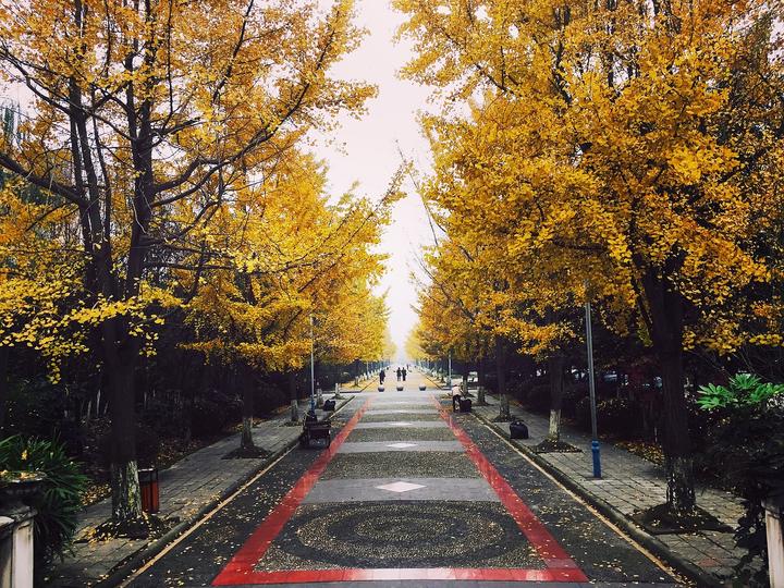 成都华阳区附近红灯区3