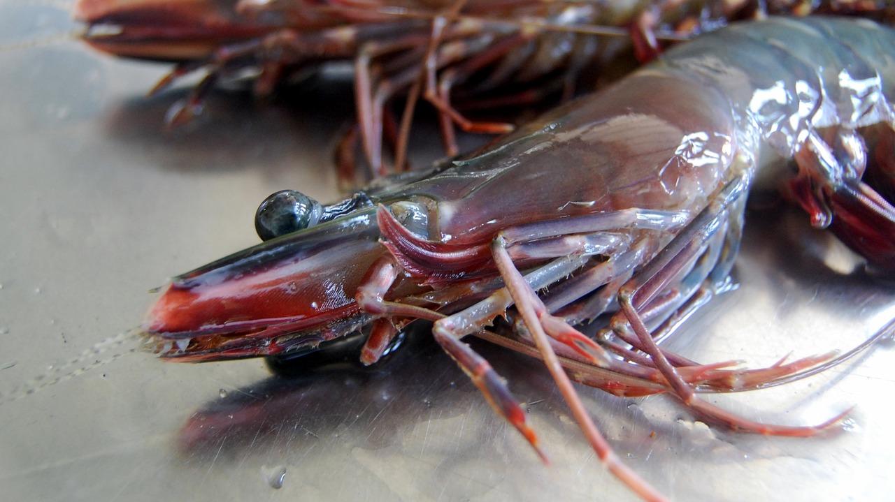 3. 竹节虾香辣炒