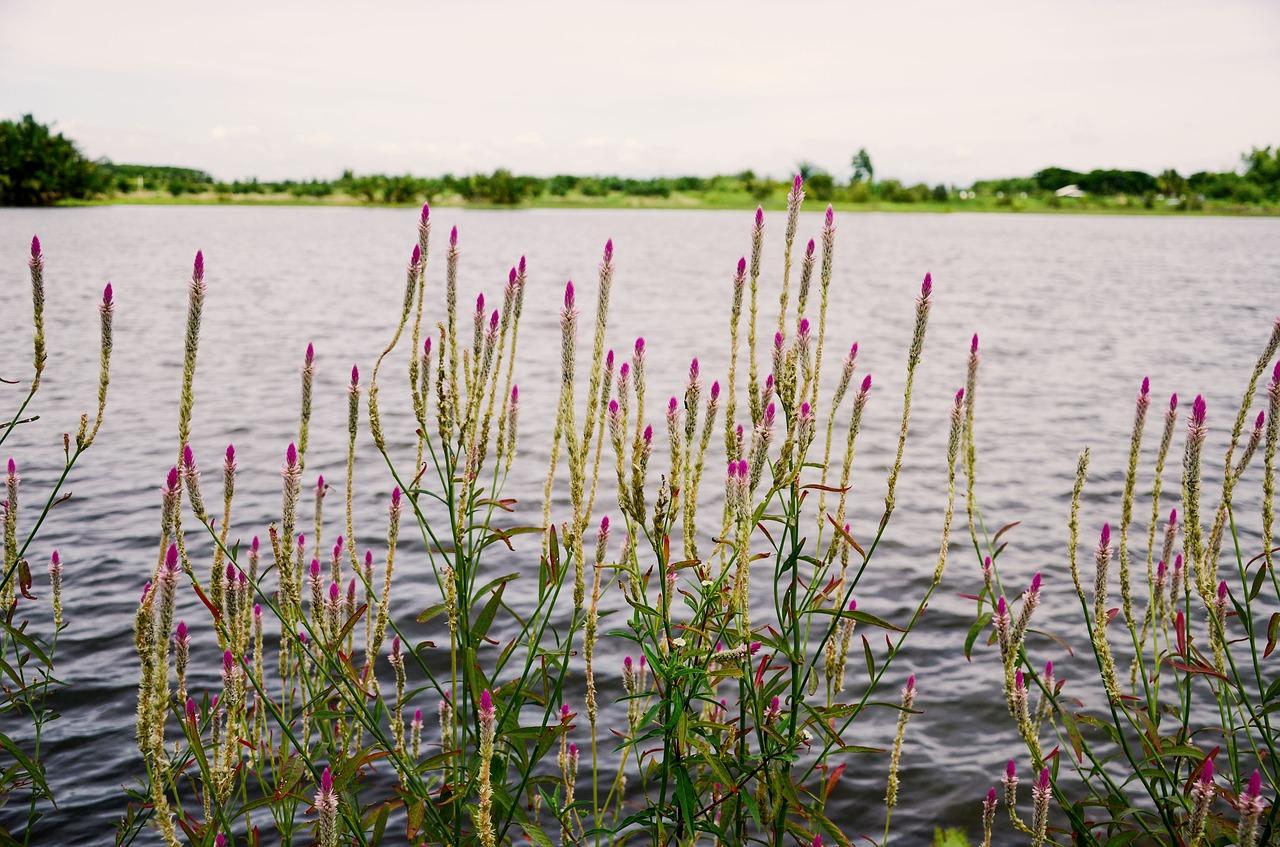 4. 高层总层数查询
