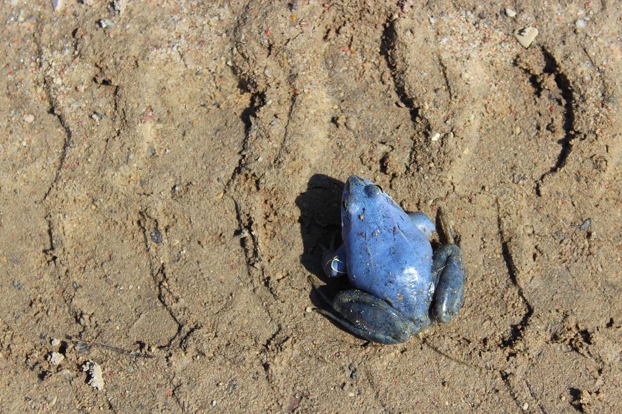 3. 玉树专用土配方