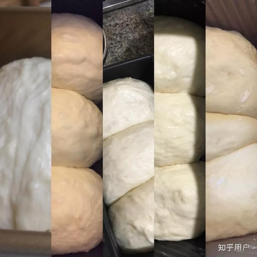 面包发酵过度的样子,面包发酵过度的图片,面团发酵过头的样子_大山谷图库