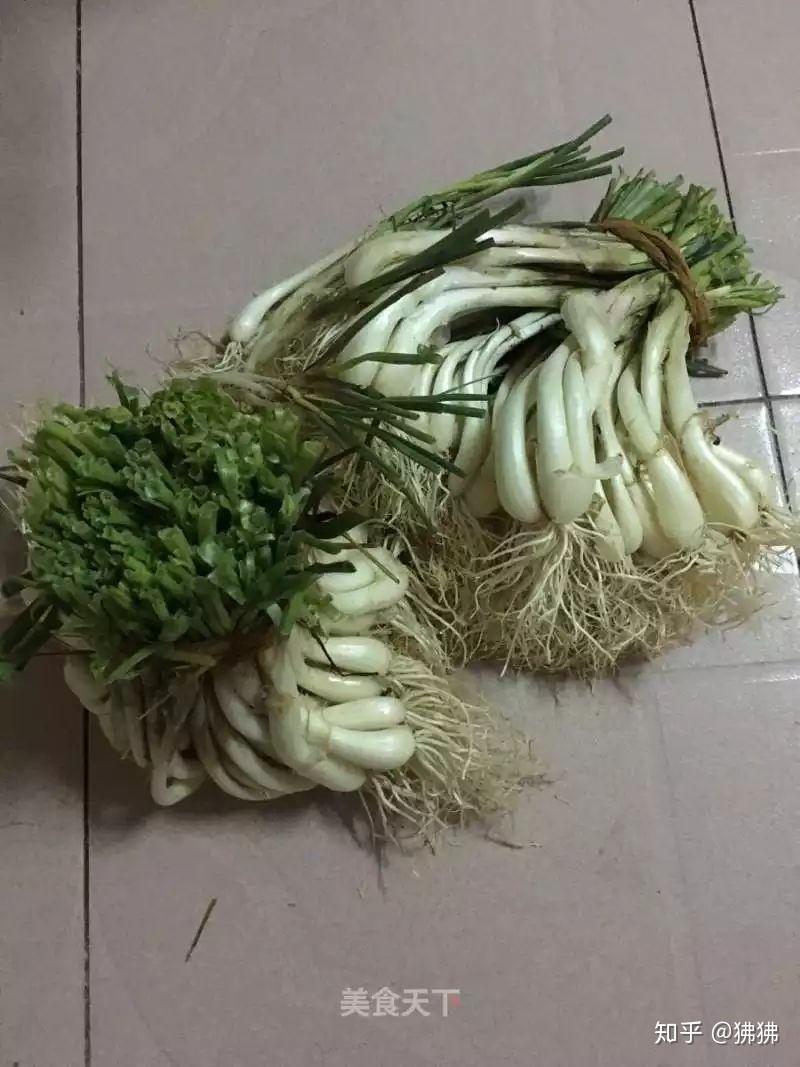 闽南话中有一种葱称为蕗荞,这是为什么呢? - 知乎