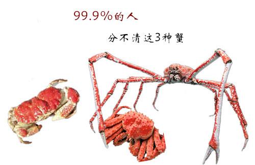 不要再说世界上最大的螃蟹是帝王蟹了 知乎