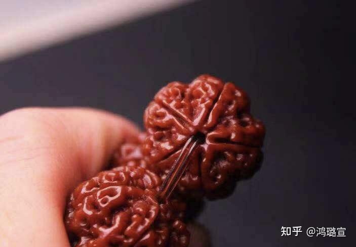 文玩堂：刑天深沟大梅花金刚菩提24+mm 文玩金刚菩提断齿很绝望？金刚菩提避免断齿全攻略！ - 知乎
