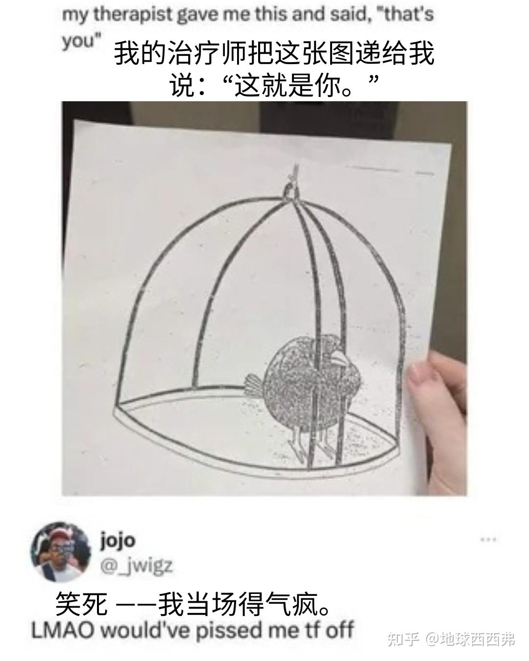 【每日meme】心理学篇 - 知乎