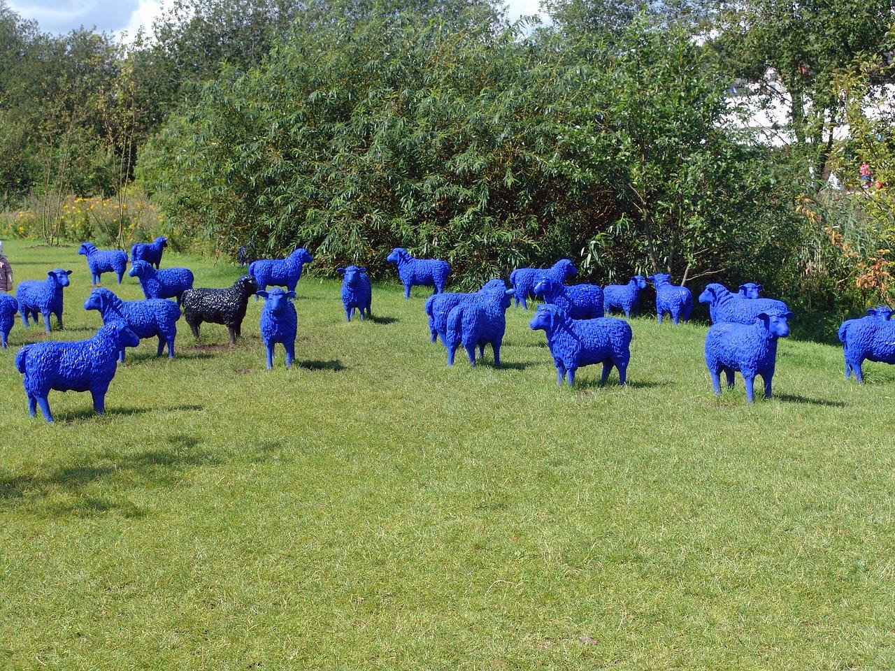 3. 房间分布解析