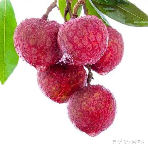 又到了吃荔枝的季节,荔枝都有哪些种类?哪种口味最好吃?常见荔枝品种有哪些特点?不同品种的荔枝有什么差异?如何预防吃荔枝上火?荔枝不宜与哪些食物 ...
