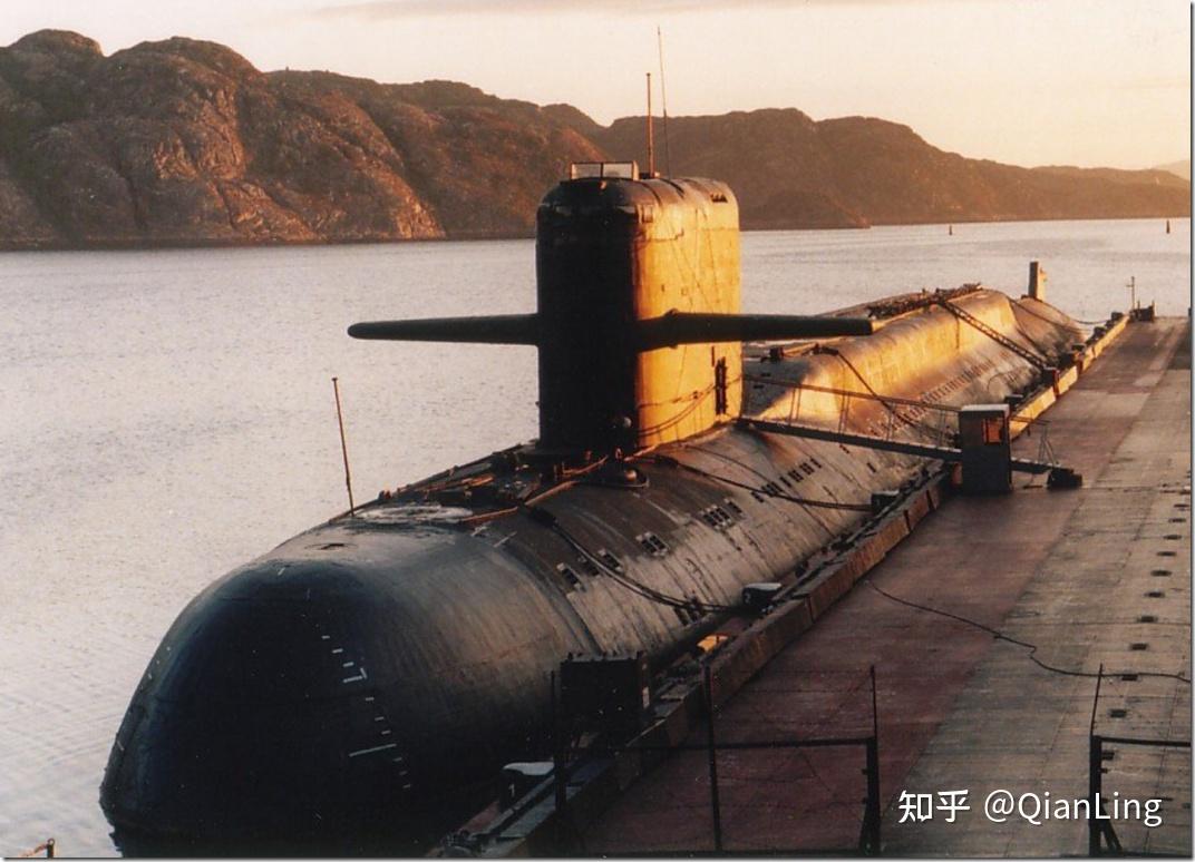 如何评价野狼獾的不死细胞系列作品