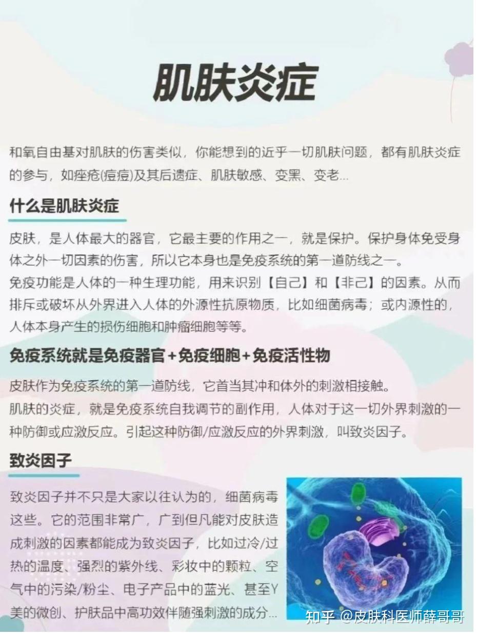 皮肤炎症|科普篇 - 知乎