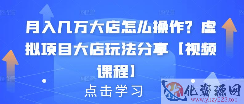 月入几万大店怎么操作？虚拟项目大店玩法分享【视频课程】插图