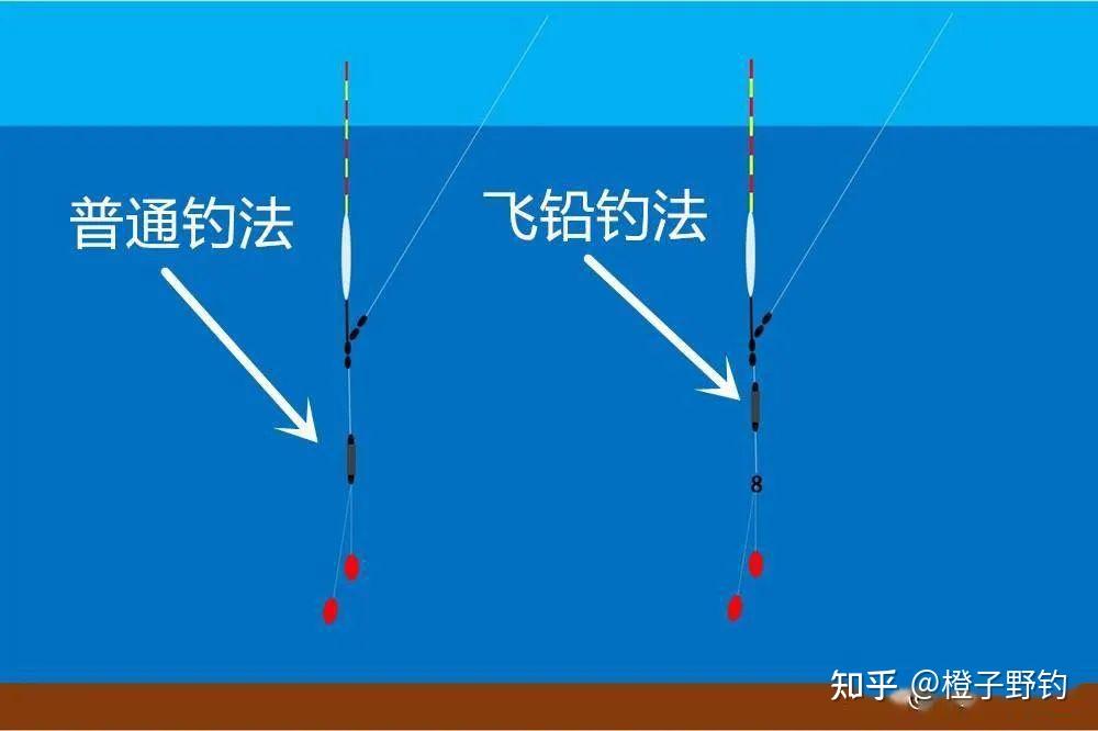 蓝刀鱼最佳钓法图片