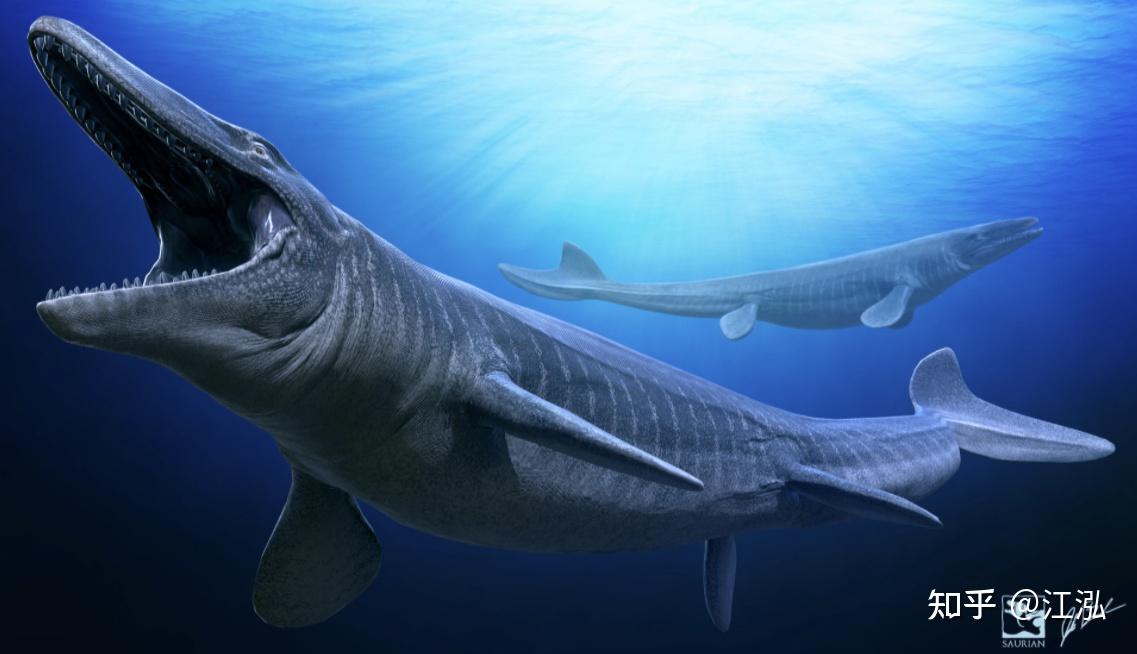 沧龙真的能吃掉霸王龙吗