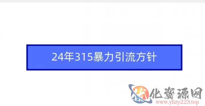 24年315暴力引流方针