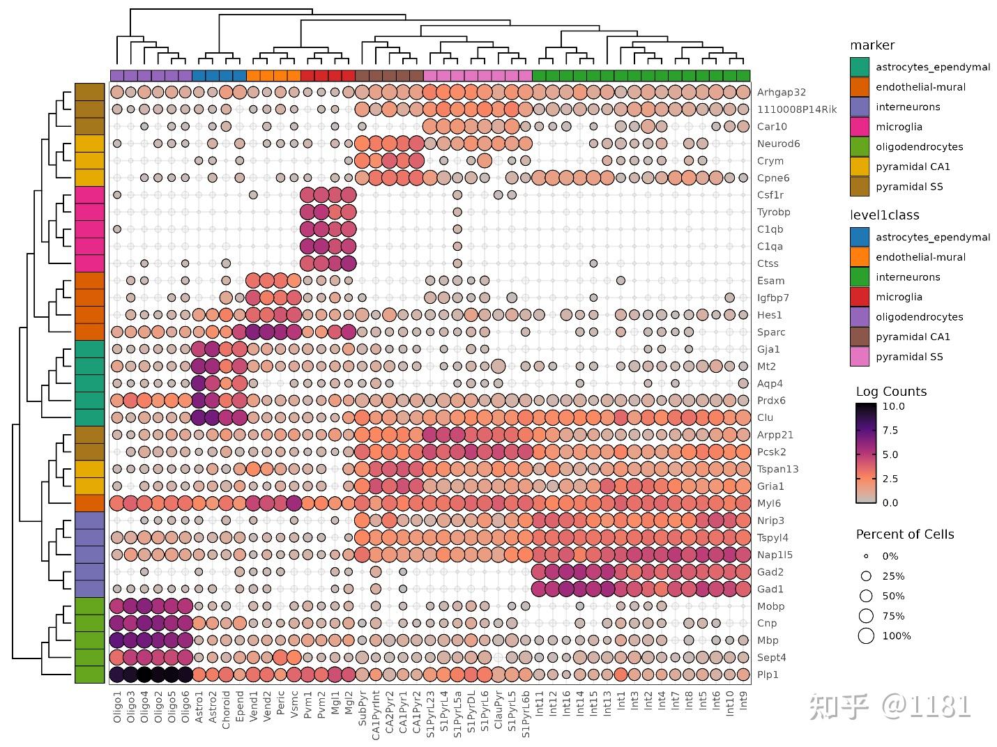 绘制超级漂亮的单细胞marker基因气泡图 - 知乎
