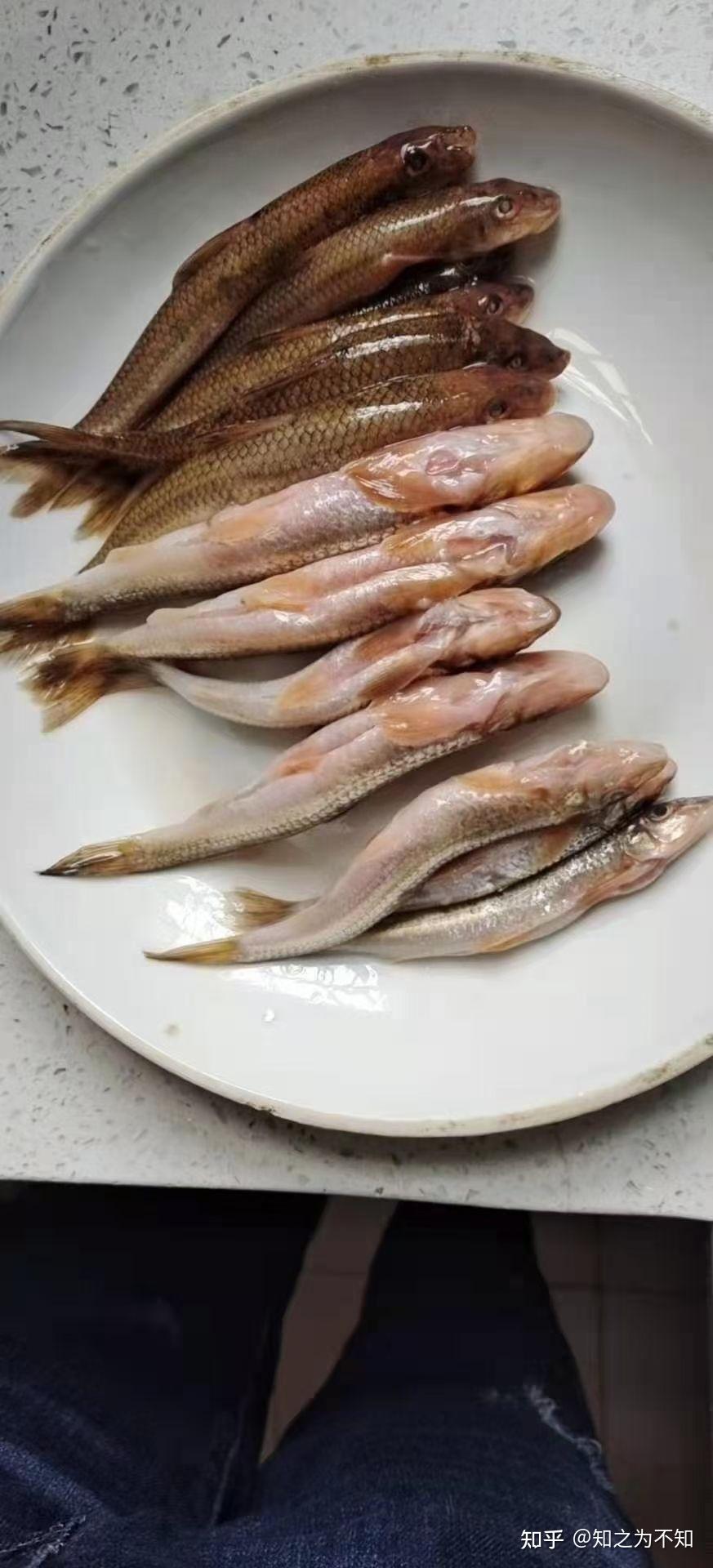 东江湖旅游什么鱼好吃