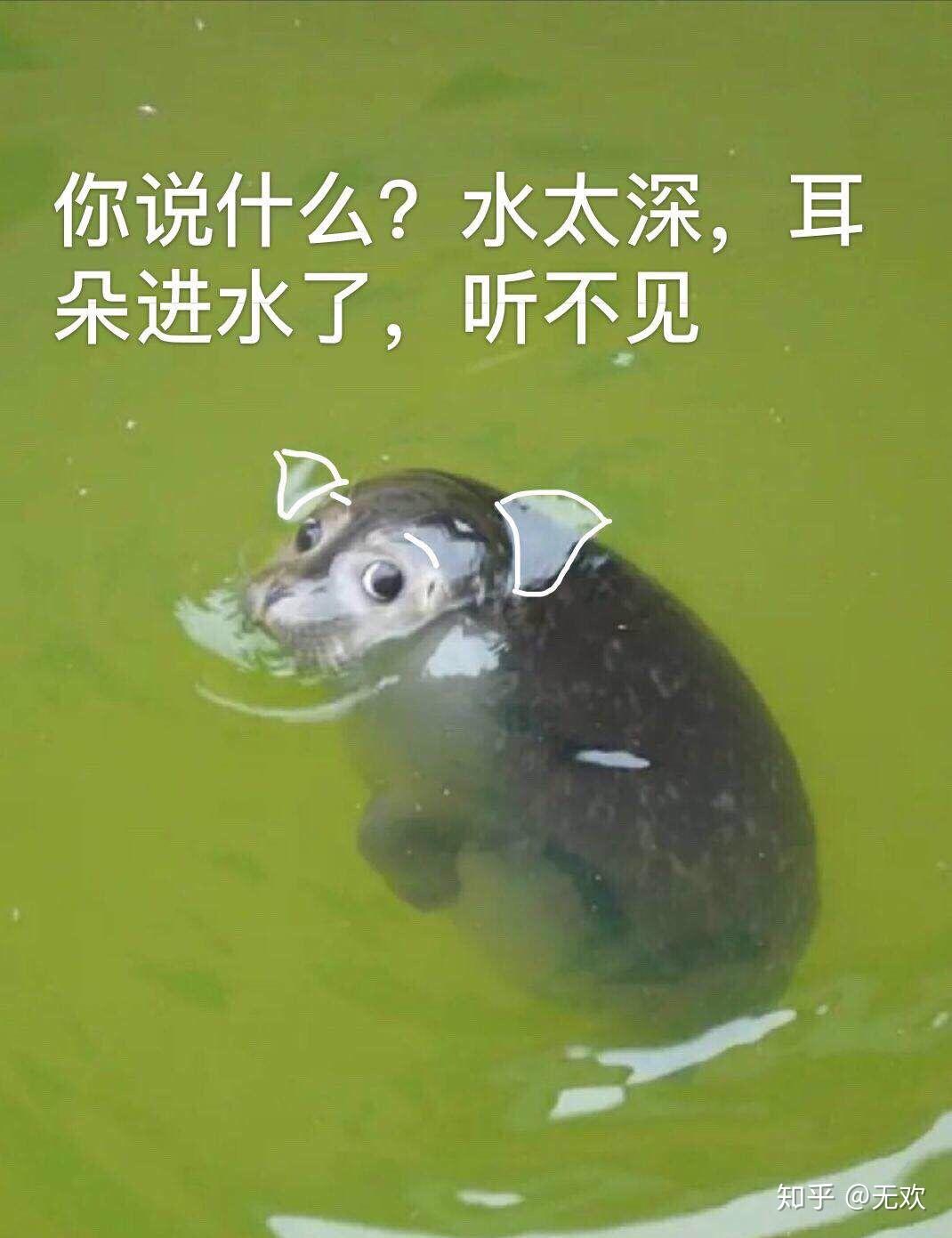 你们有没有打人特痛的表情包