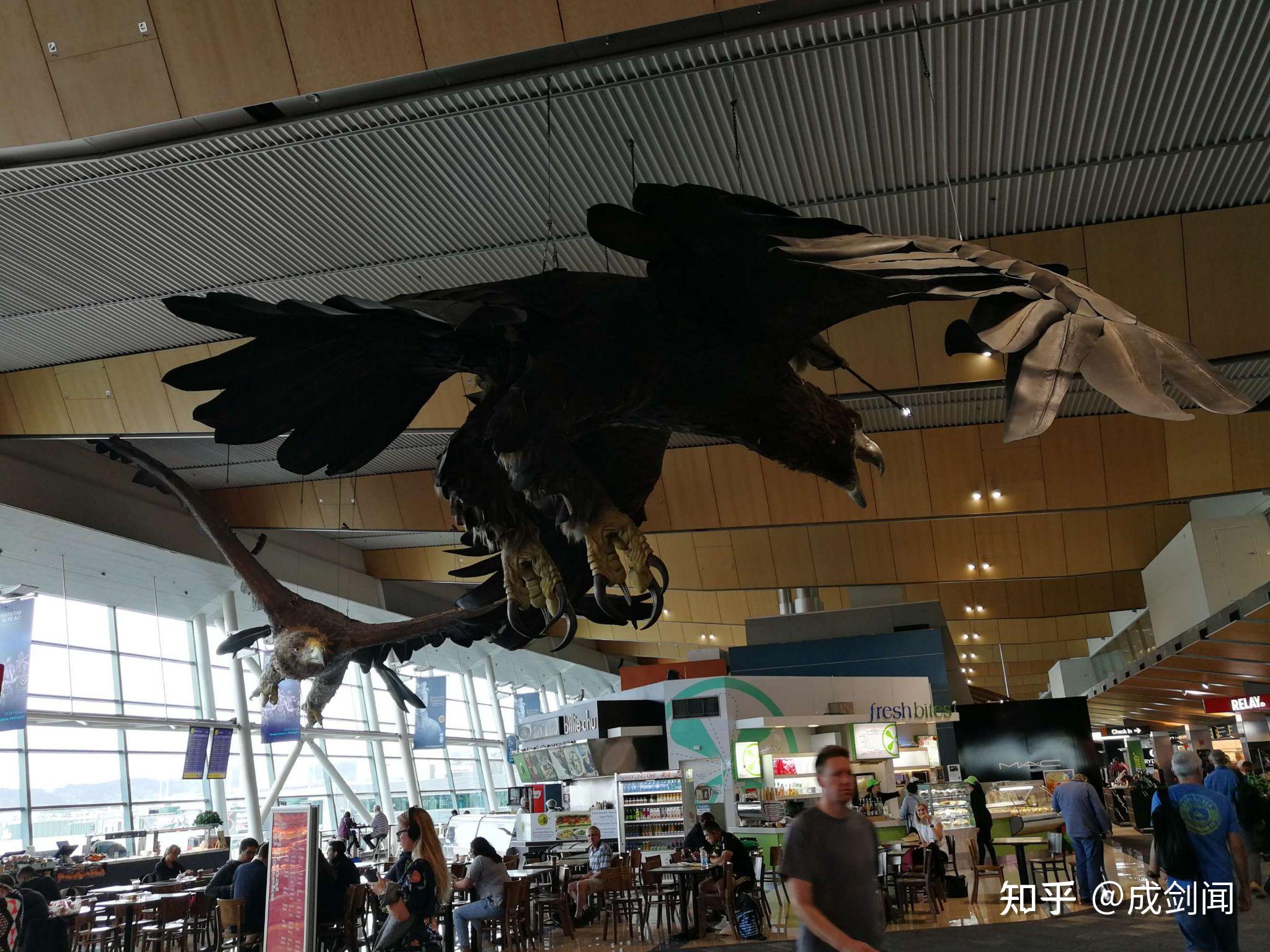 画廊 木材也做瑜伽！新西兰惠灵顿机场有个巨型弯曲木构架（附图纸） - 17