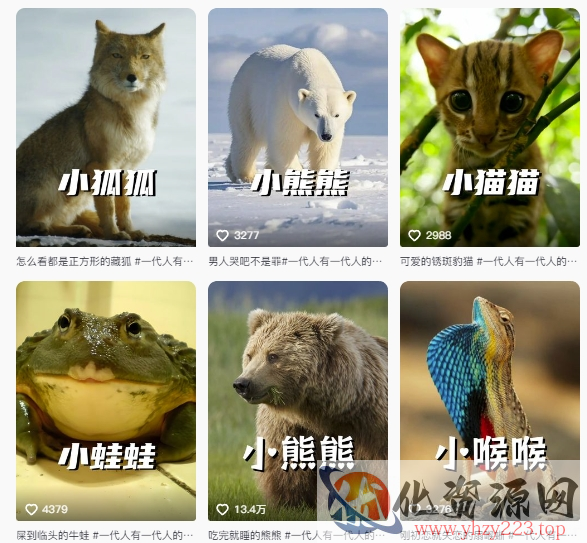 最新搞笑动物百科详细解说课程，蓝海赛道，流量非常大，轻松签独家进精选