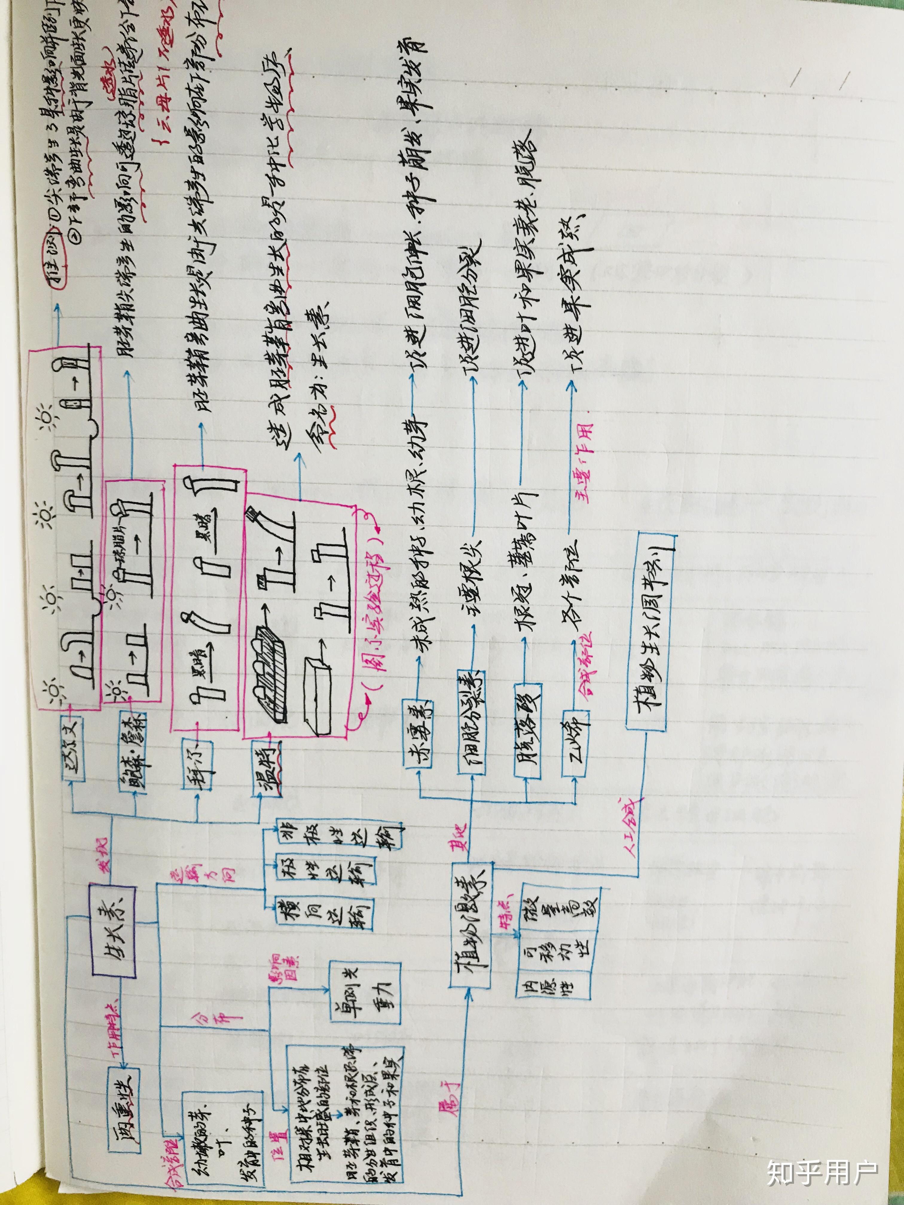 高中数理化生哪一个可以做思维导图,怎么做,怎样用?