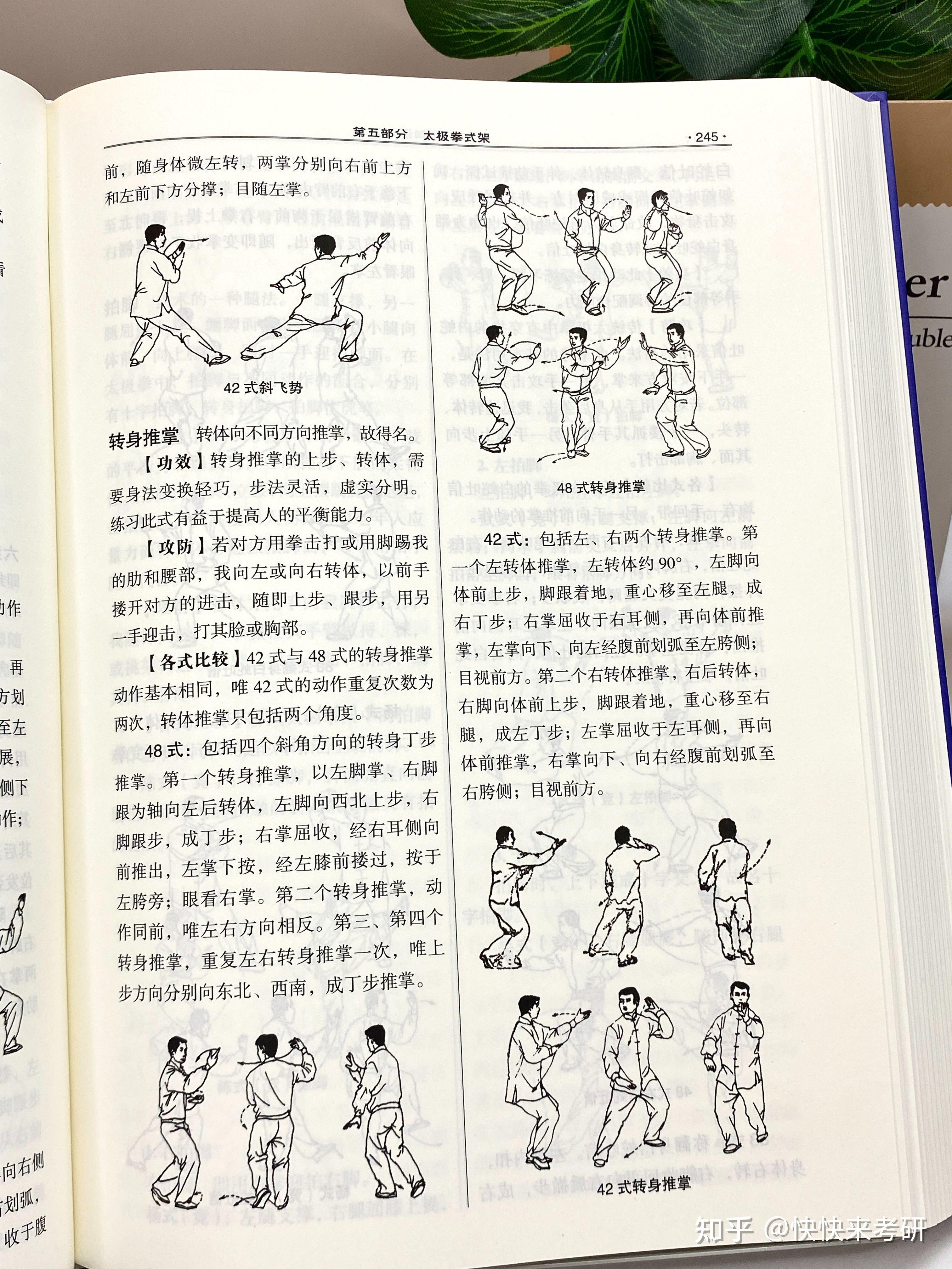 讲解杨丽太极拳动作-海底针 - 知乎