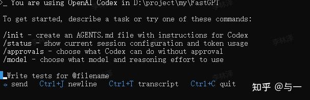 2026 最新｜Linux 安装 Codex CLI 教程：Ubuntu、CentOS 配置到 API Key 全流程 - 知乎
