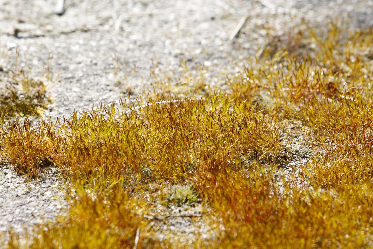 3. 防水防漏技术