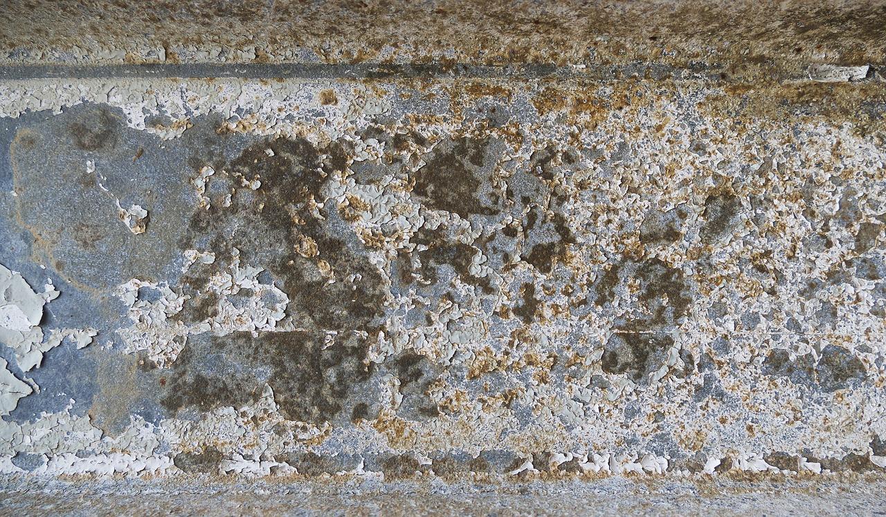 2. 选择耐腐木材