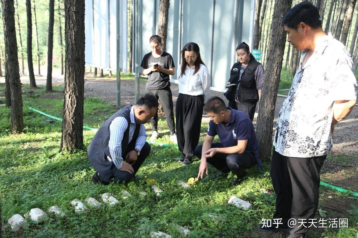 乡村振兴新典范 林下经济开新篇 - 知乎