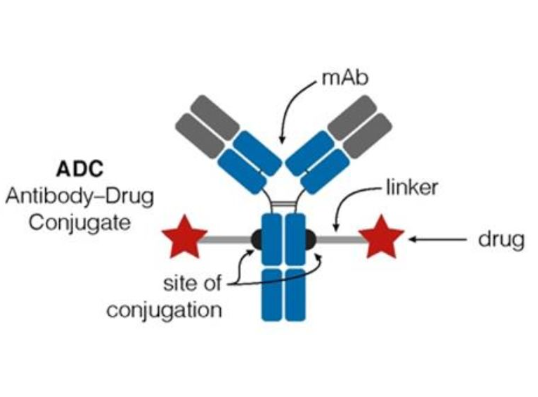 159857-81-5 Mc-Val-Cit-PABC-PNP ADC抗体简介 - 知乎