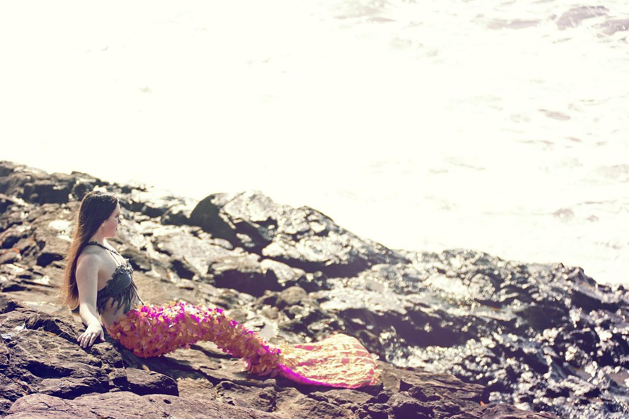 诗意栖息地风貌