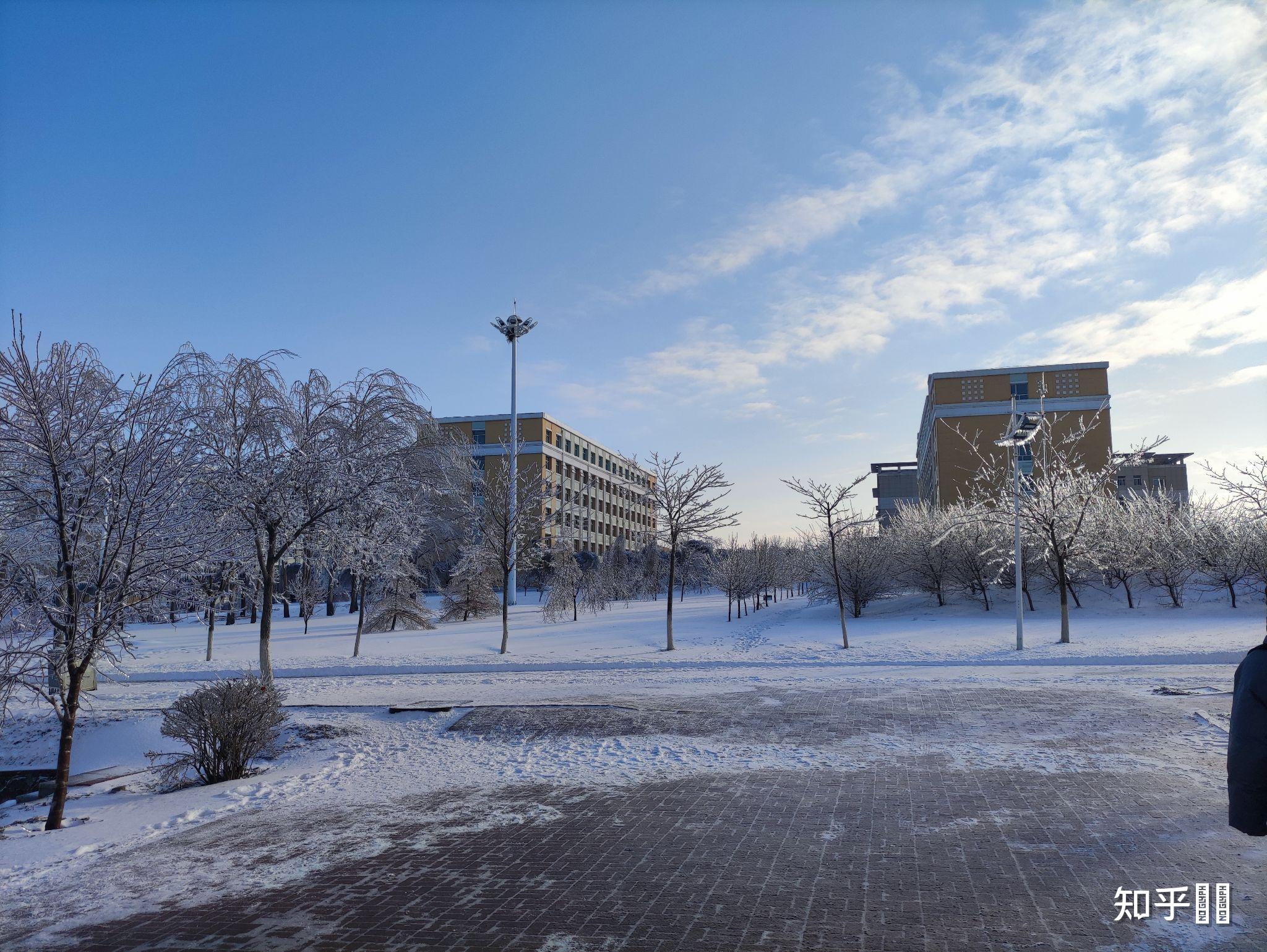 吉林农业大学情杀图片