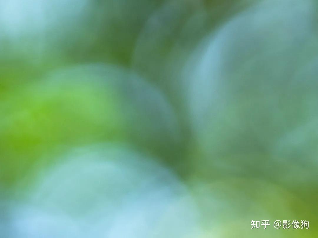 Sigma收購鏡頭