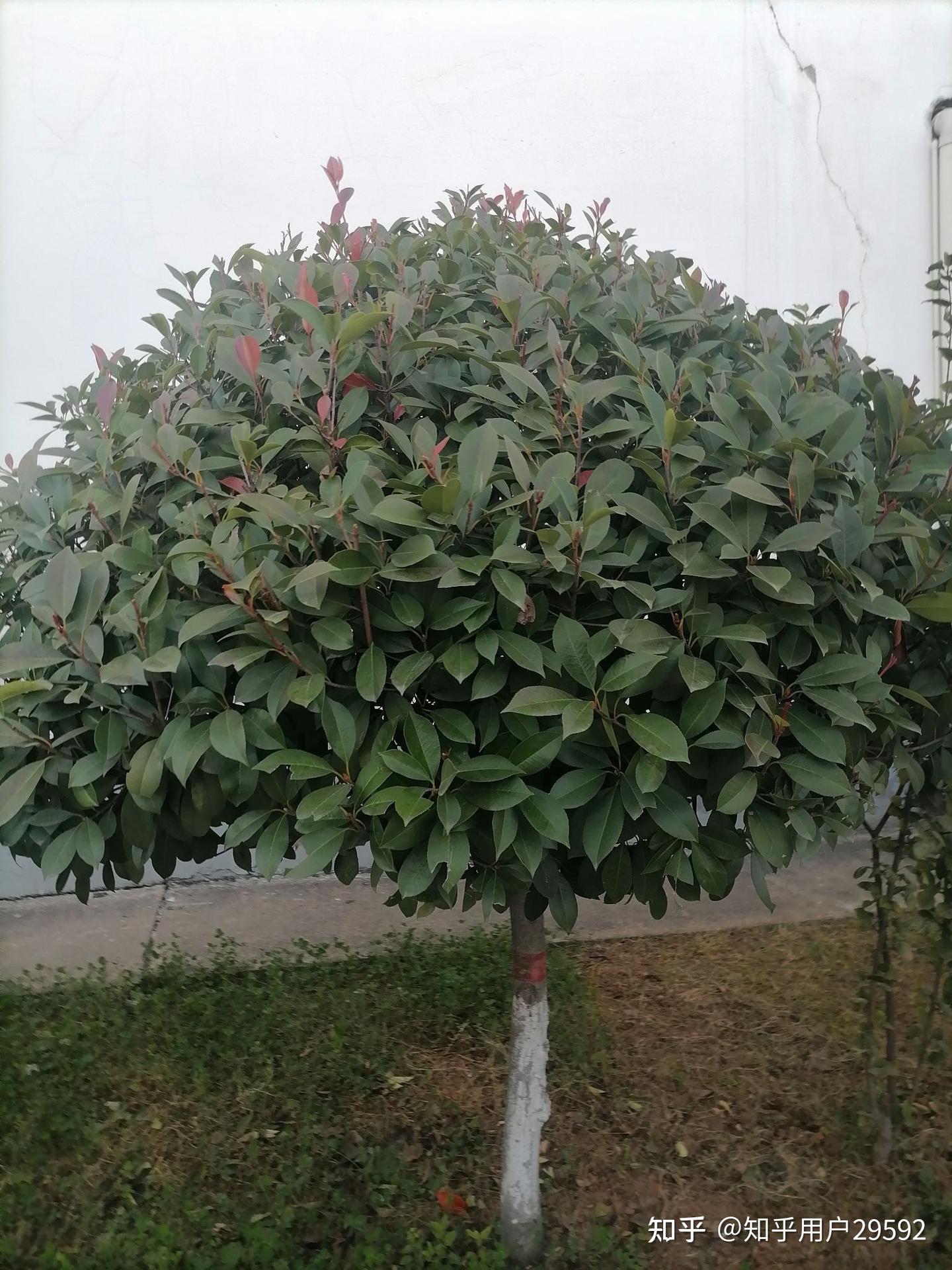 暴风雨前的宁静- 知乎