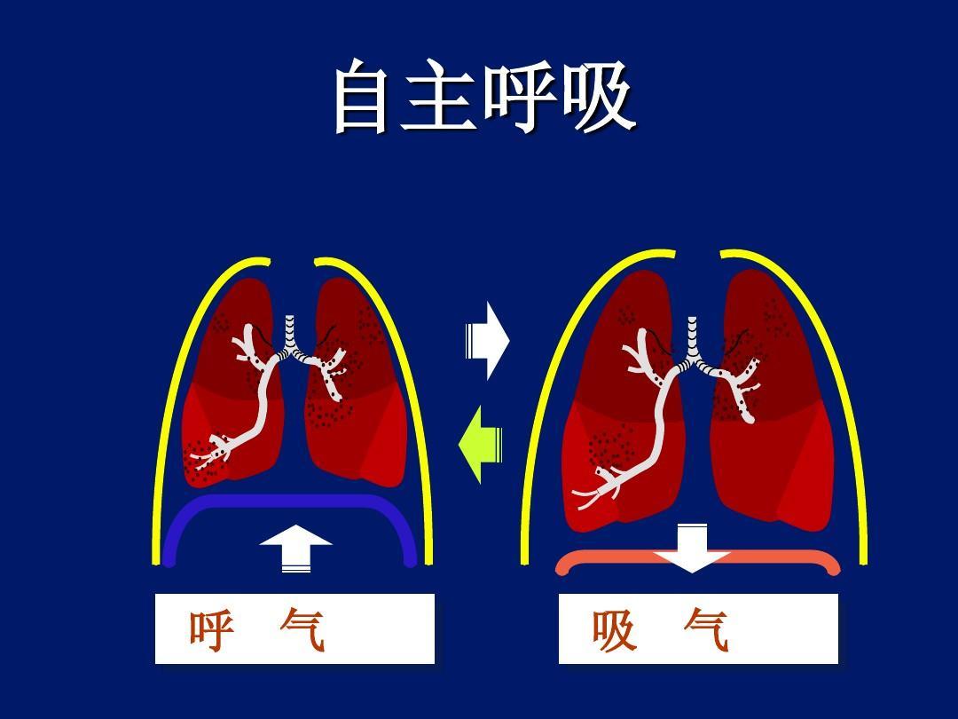 中医说养肾之道尽在呼吸之间有道理吗