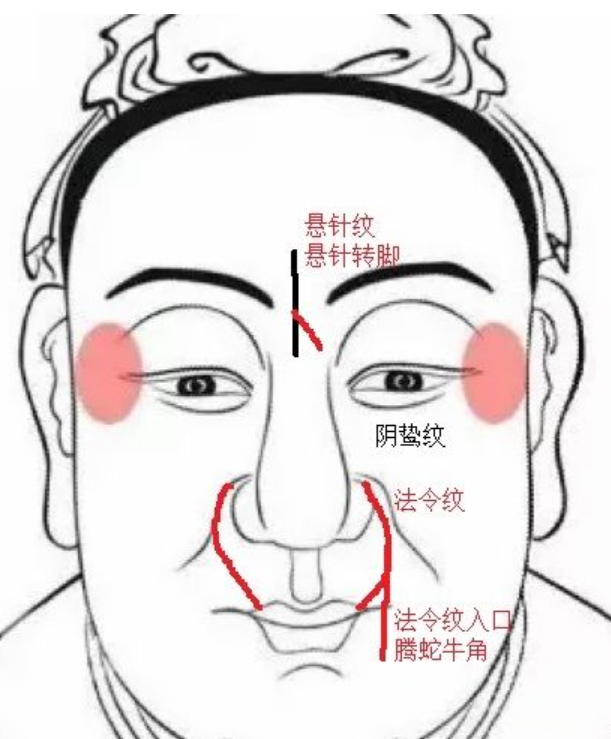面相看一生- 知乎