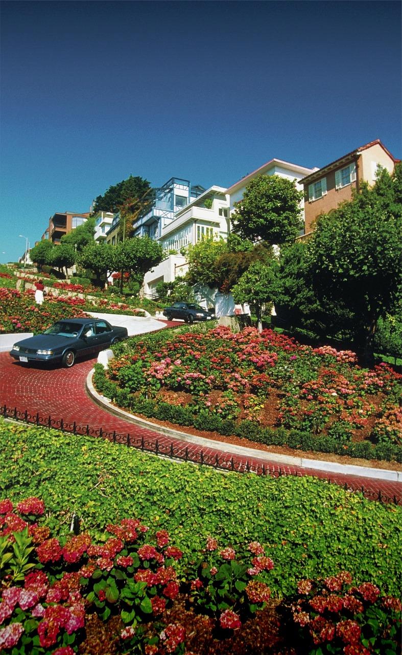 什么是园林小区