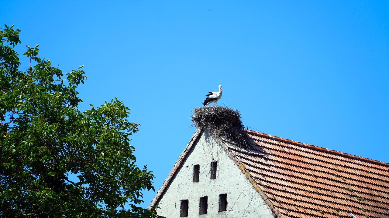 交通出行便利吗?