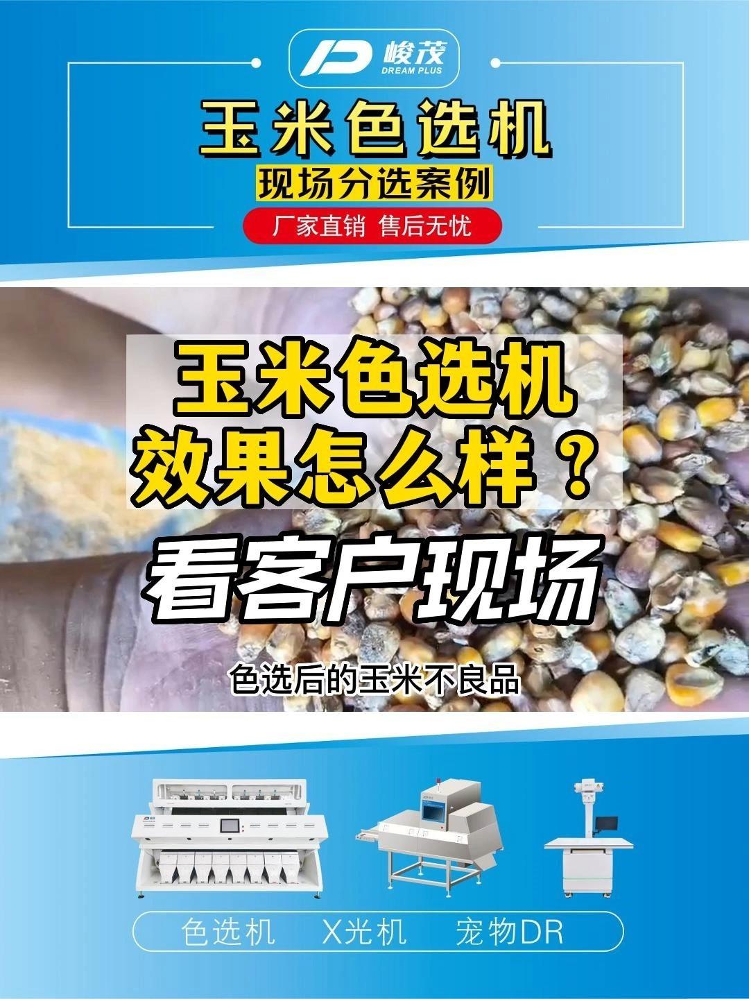 玉米色选机遭遇抢购潮，智能分选玉米中异色粒、虫斑粒、霉变粒、焦糊粒、干瘪粒、沙石等 - 知乎