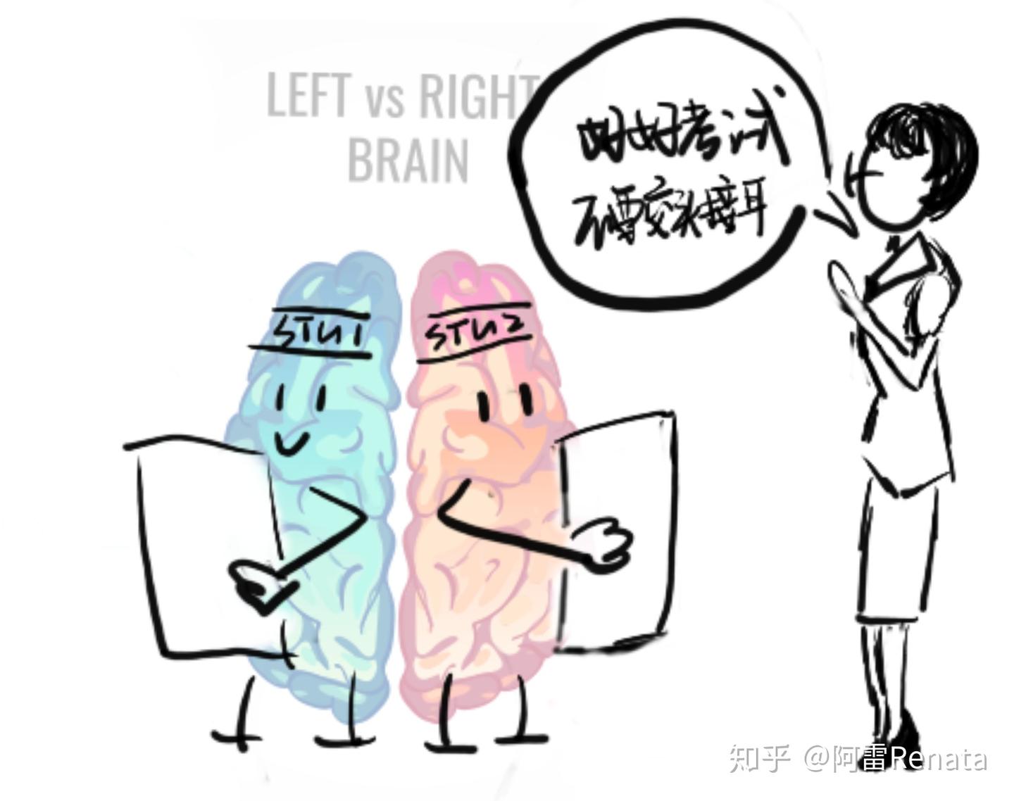 左右都是脑，有啥不一样？|偏侧化初探 - 知乎