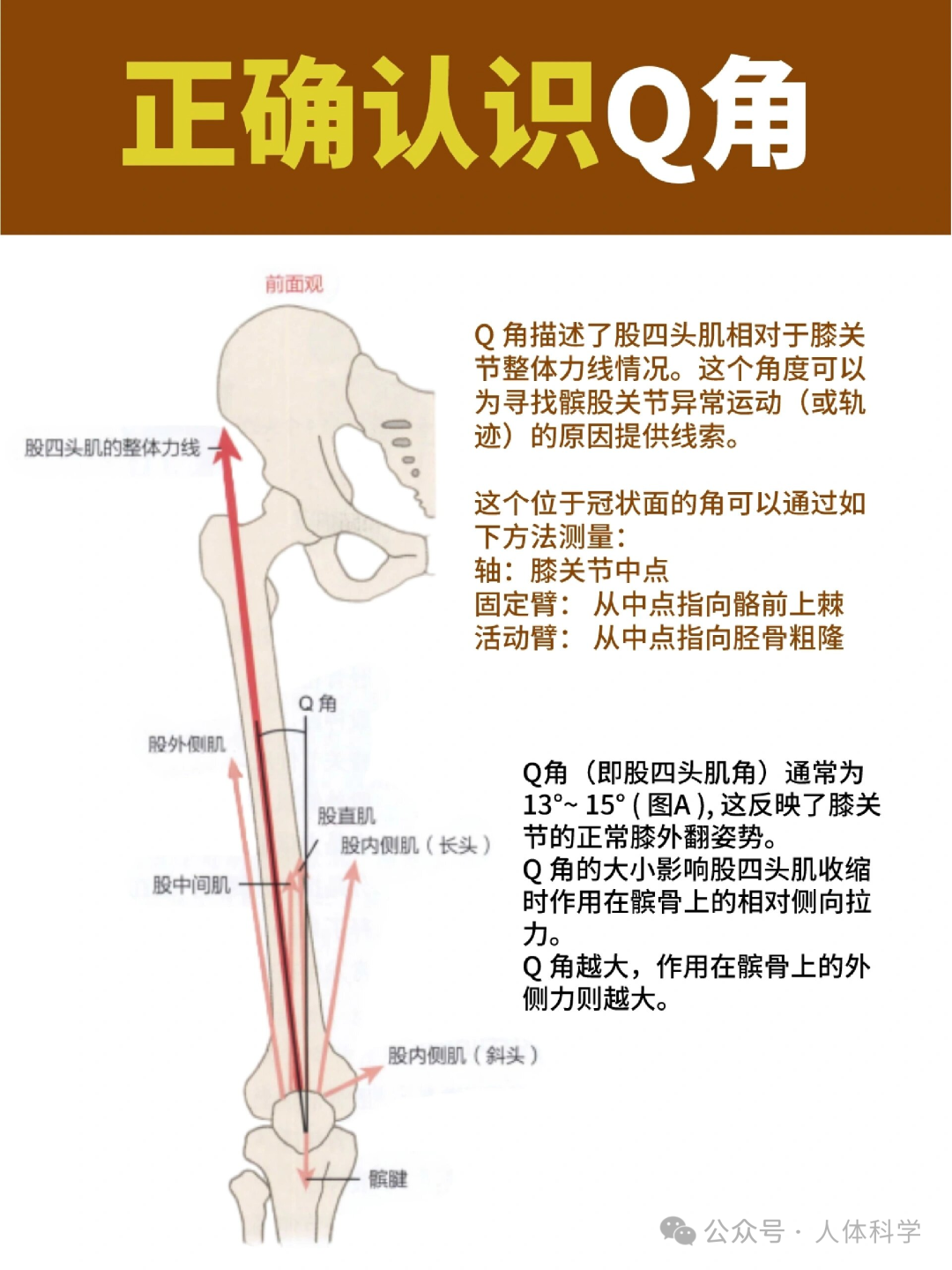 【腿型评估】如何准确检测腿部Q角大小? - 知乎