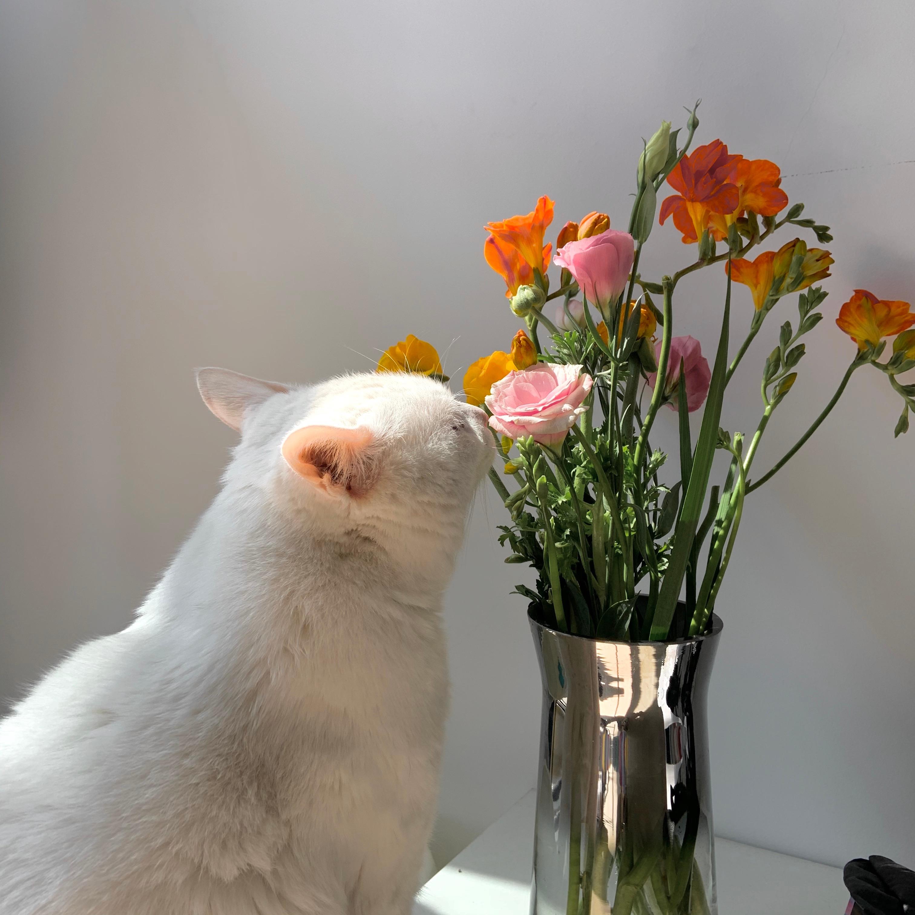 有没有什么惊艳的微信头像?-特别惊艳到人的微信头像