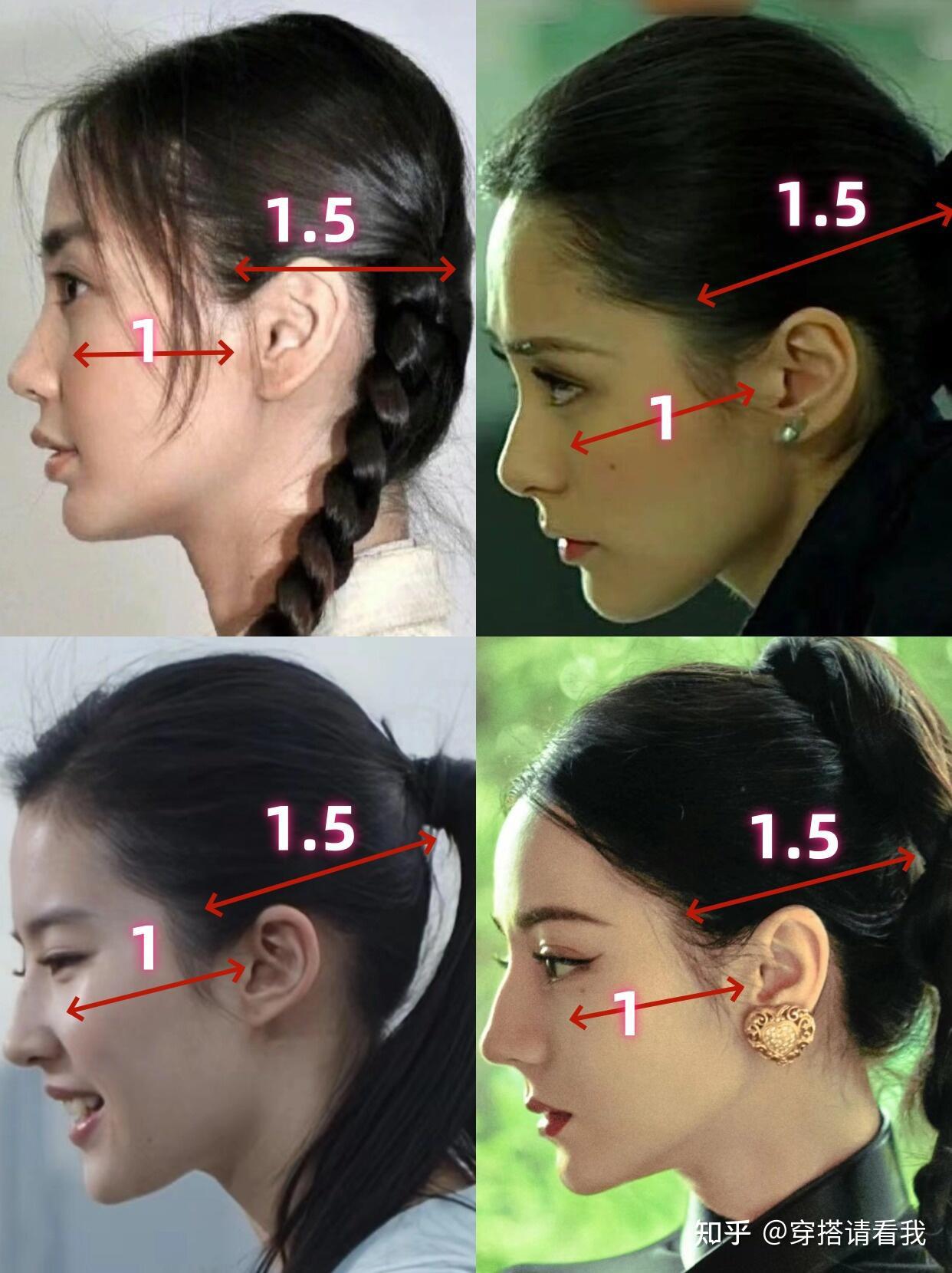 侧脸面颅最佳比例,这才是头包脸