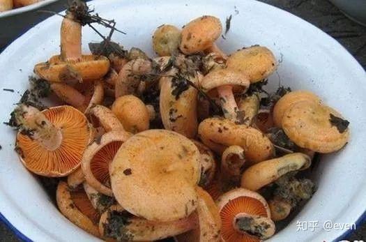 客官们要是碰到这17道湘西当地美食,切勿放过!(详图) - 知乎