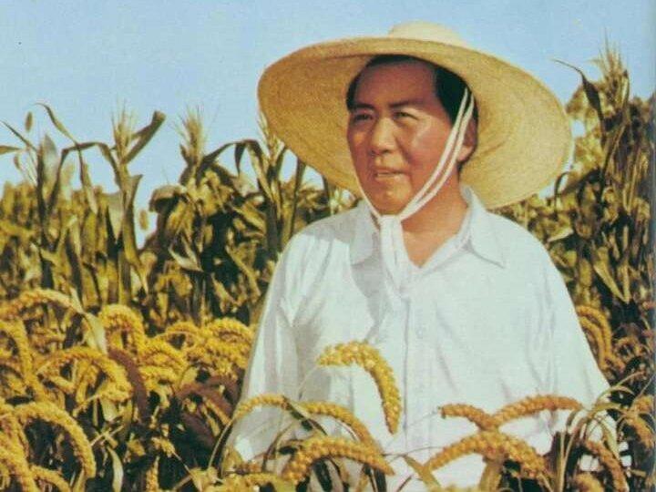 100张教员珍贵照片,值得珍藏 - 知乎